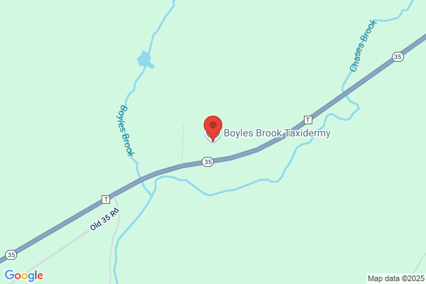 Boyles Brook Taxidermy