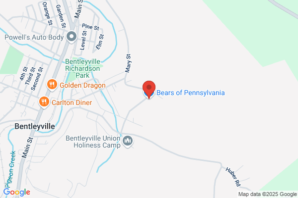Bears of Pennsylvania the
