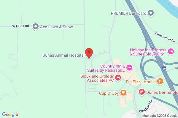 Dunes Animal Hospital