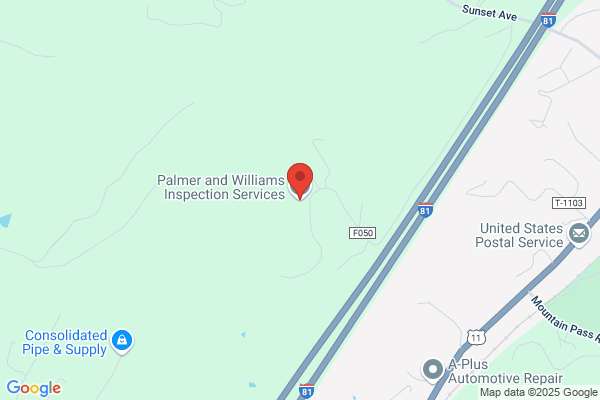 Palmer and Williams Inspection Services, LLC