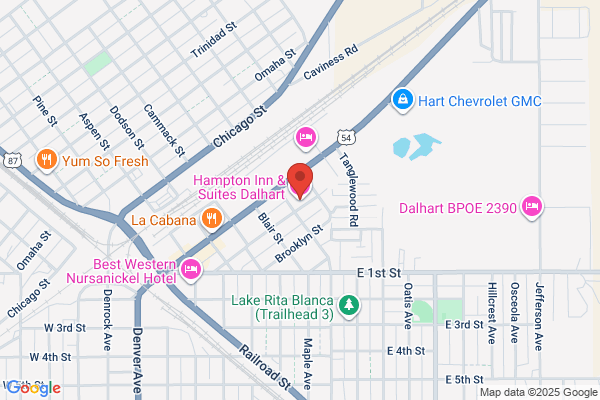 Hampton Inn & Suites Dalhart