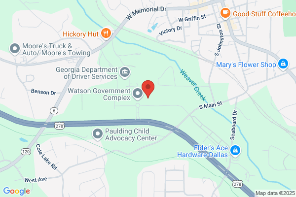 Planning For Paulding Inc