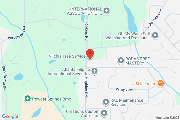 Vilchis Tree Services Pro