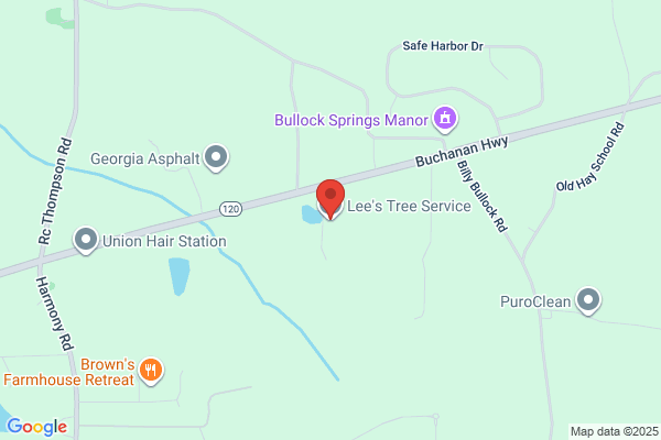 Lee's Tree Service