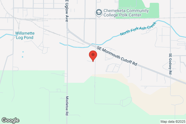 Western Smelting & Metals Inc