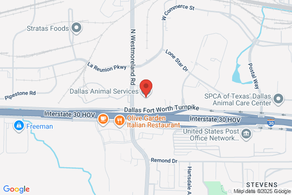 Dallas Animal Clinic PC