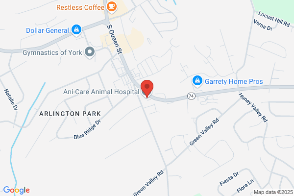 Doggie Do'Little Pet Salon, Spa & Boutique