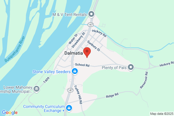 Dalmatia Fire Co