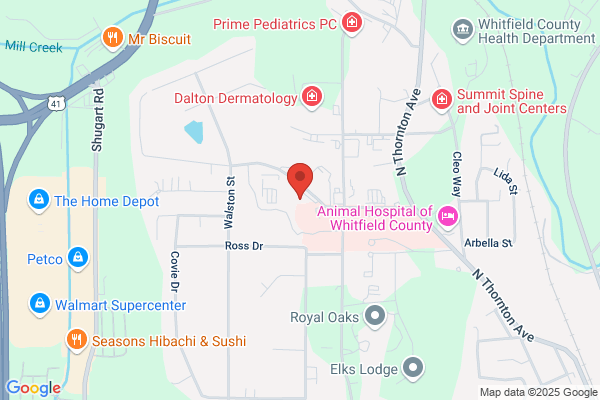 Dalton Obstetrics & Gynecology