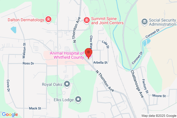 Animal Hospital of Whitfield County