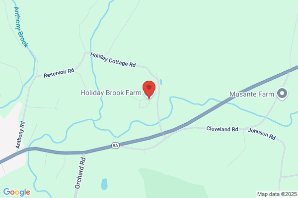 Holiday Brook Farm