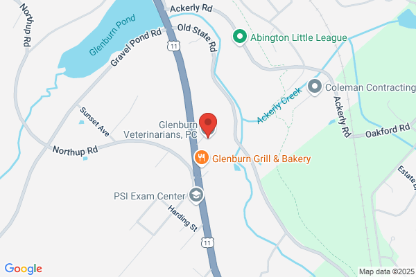 Glenburn Veterinarians, P.C.