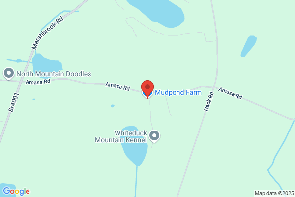 Mud Pond Farm