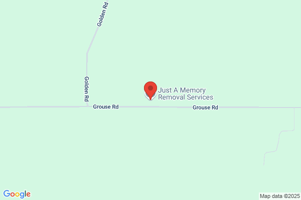 Just a Memory Removal Services