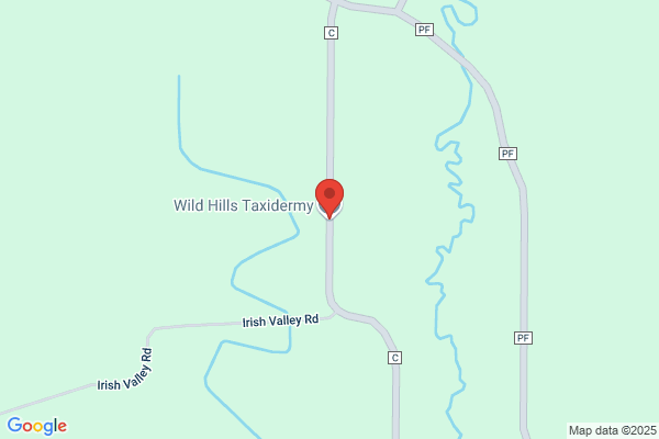 Blue Hill Taxidermy