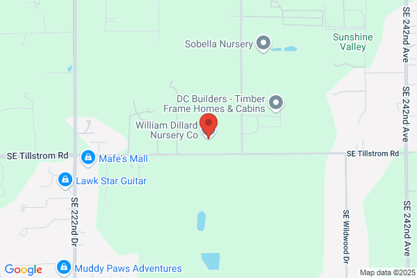 Dillard Wm Wholesale Nursery
