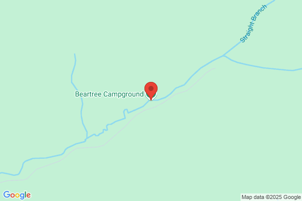 Bear Tree Recreation Area