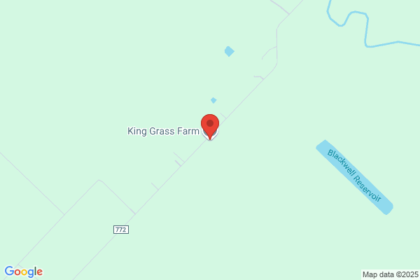 King Grass Farm