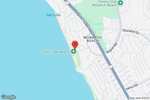 Salt Creek On the Beach Burgers & Ice Cream