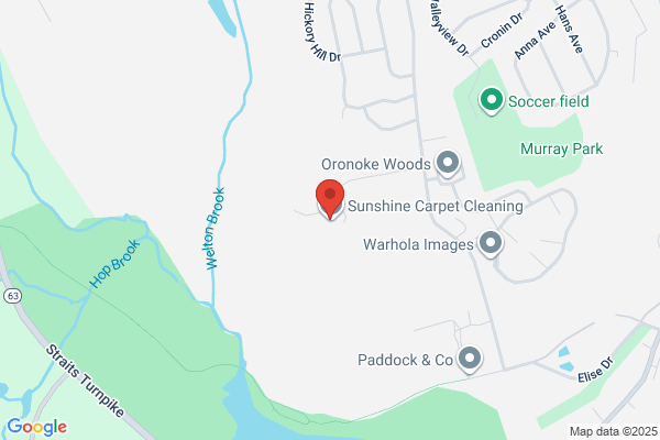 Sunshine Carpet Care