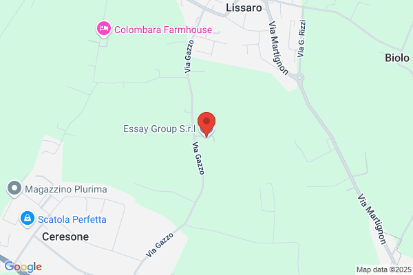 Essey Group Inc the