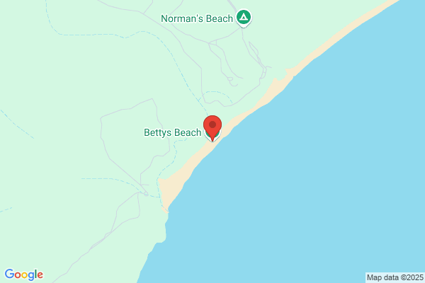 Beach Bettys