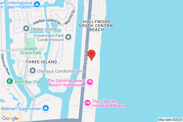 Ocean Palm Inc