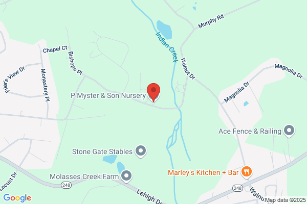 Myster P & Son Nursery