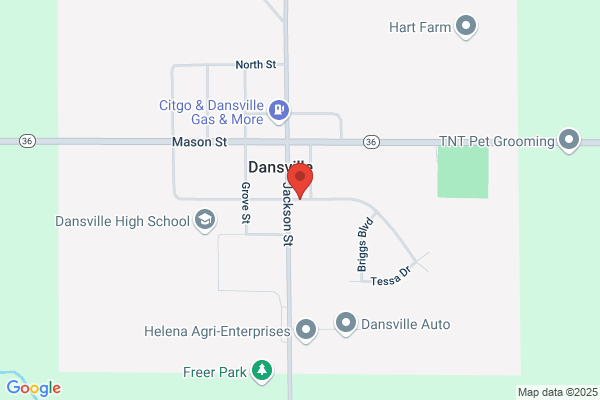 Dansville School