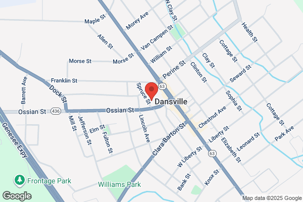 Dansville Collision