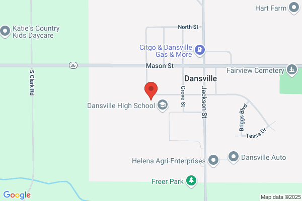 Dansville Public Schools, Primary School