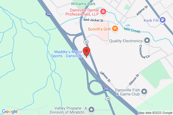 Maddie's Motor Sports - Dansville