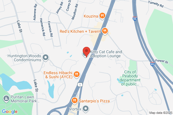 USA Speedy Auto & Tire Center