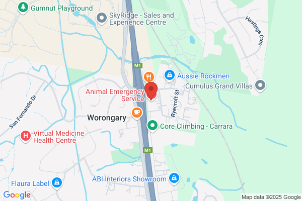 Animal Dermatology Specialist