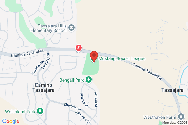 Mustang Soccer League