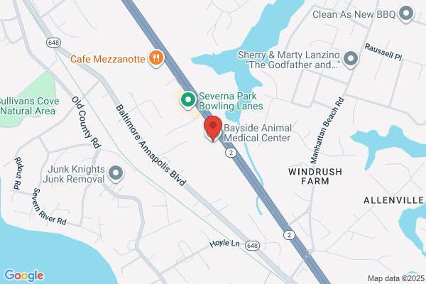 Bayside Animal Hospital