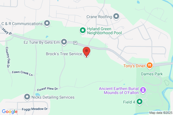 Brock's Tree Service
