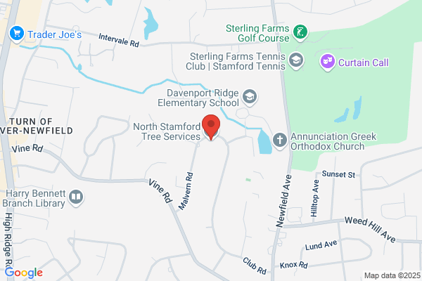 North Stamford Tree Service