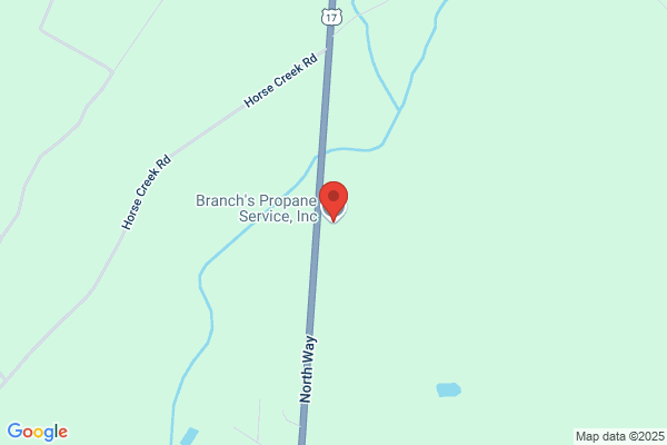 Branchs Propane Service