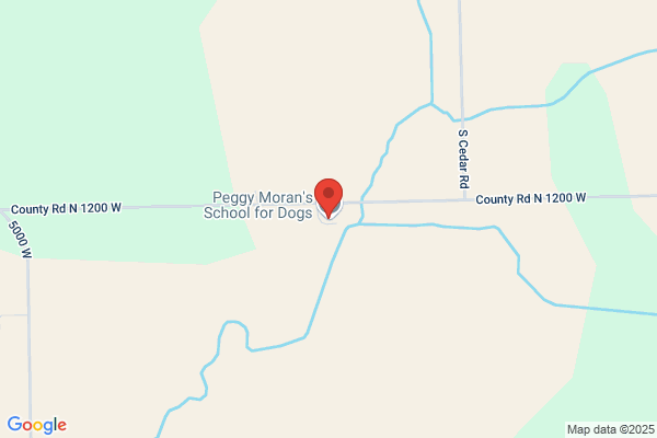 Peggy Moran's School For Dogs