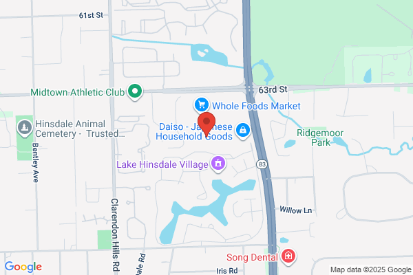 Dentists of Hinsdale Lake