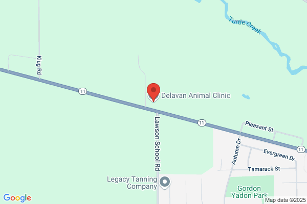 Delavan Animal Clinic Inc