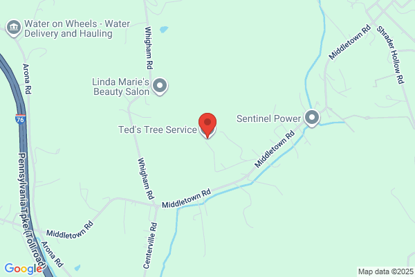 Ted's Tree Service