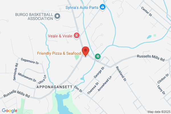 Friendly Pizza