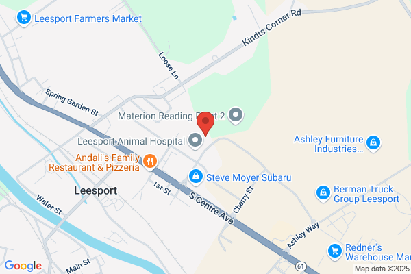Leibensperger Funeral Homes Inc