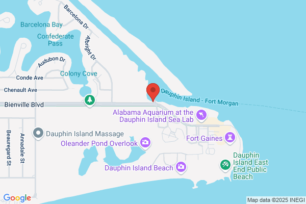 Dauphin Island Cruises