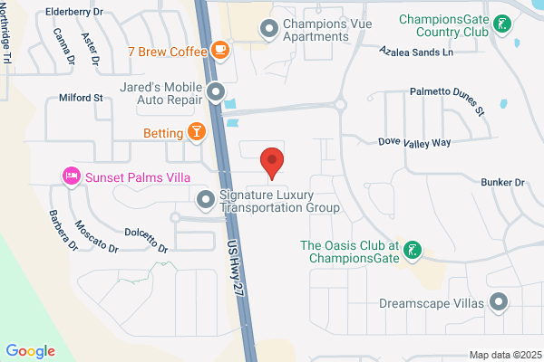 Monkey Business Tree Care Specialist - Davenport