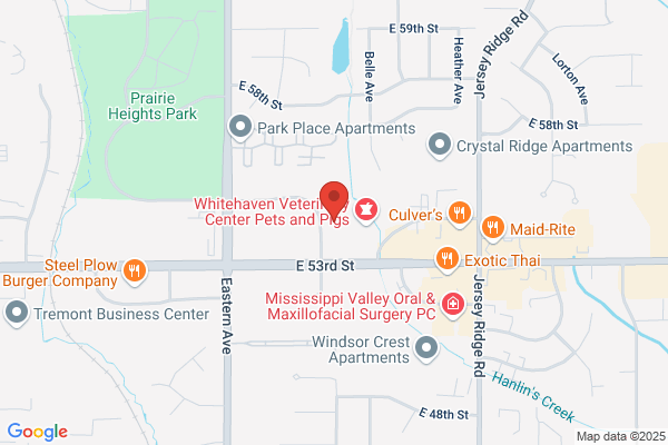 Spring Park Oral & Maxillofacial Surgeons