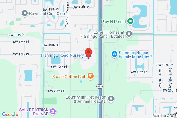 Flamingo Road Nursery