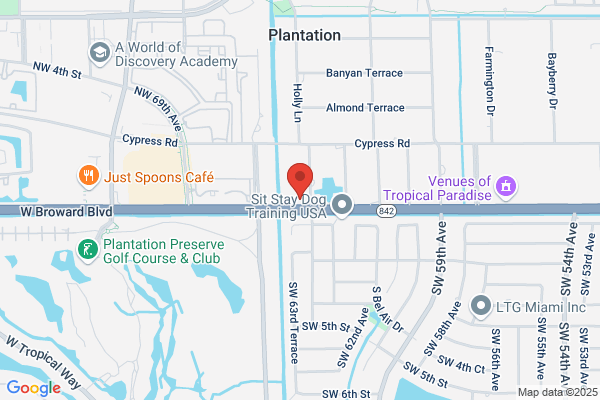 Shad Properties Group Llc